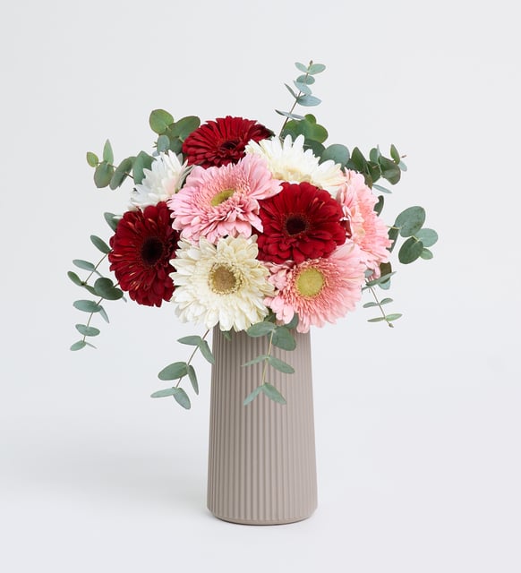 Bej Çizgili Vazoda Pembe Beyaz ve Kırmızı Gerbera